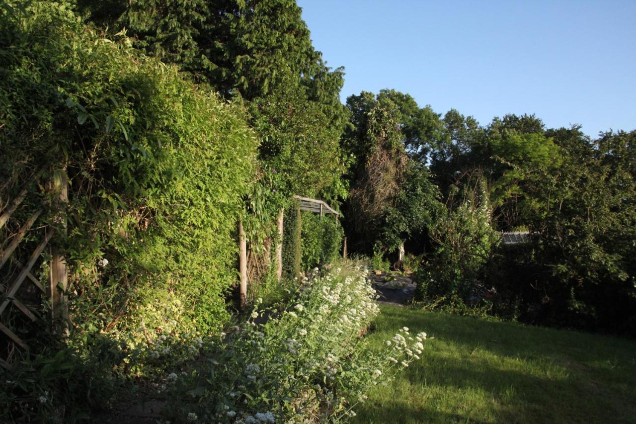 Spacious Home In Bath, Nature And City! Eksteriør bilde